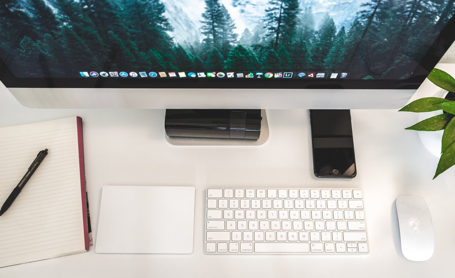 A flat lay view of a well organized minimalist workspace for productivity, with a plant for a splash of color.