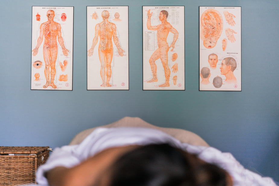 Four posters showing illustrated diagrams of a human body and its corresponding acupuncture points hang on a wall. In the foreground is an out of focus person planking on a massage table. Reference materials are necessary in your workspace for productivity