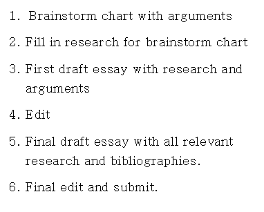 Next Step Scopist essay writing process
