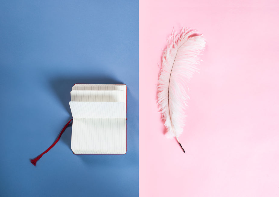 Two halves of the same picture. A red notebook sits on a blue background next to a white feather quill on pink. Metaphor for the differences between scopists and court reporters