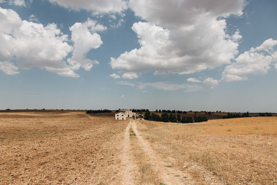 Baren lands as far as the eye can see, burnt to a dry and pale brown grass. A dirt road runs down the middle of a field and ends with a farmhouse and a few buildings, long abandoned since things dried up. What To Do During A Work Drought and Dry Season