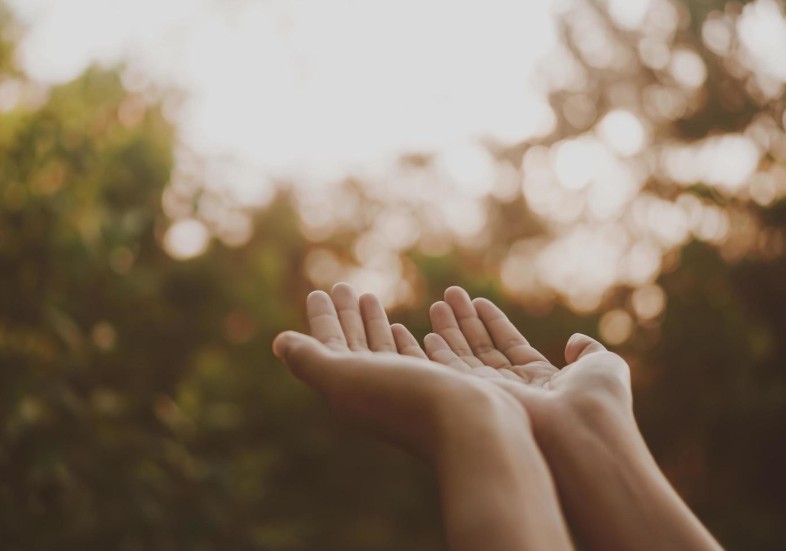 Hands placed together like praying in front of nature green background expecting the unexpected